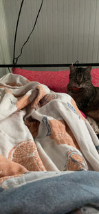 3dgiftroom 4-Layer Cotton Muslin Throw Blanket